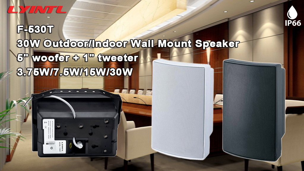 Hot Sell: 5" 30W Outdoor Waterproof Wall Mount Speaker: F-530T