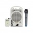 PP-116UR 35W Portable Wireless PA Amplifier with USB/FM/Recorder/Bluetooth