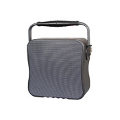 PP-6672C Portable Wireless PA Amplifier with USB/SD/Recording/Bluetooth